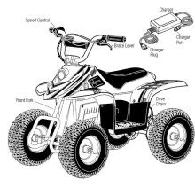 ATV électrique 350W pour les enfants